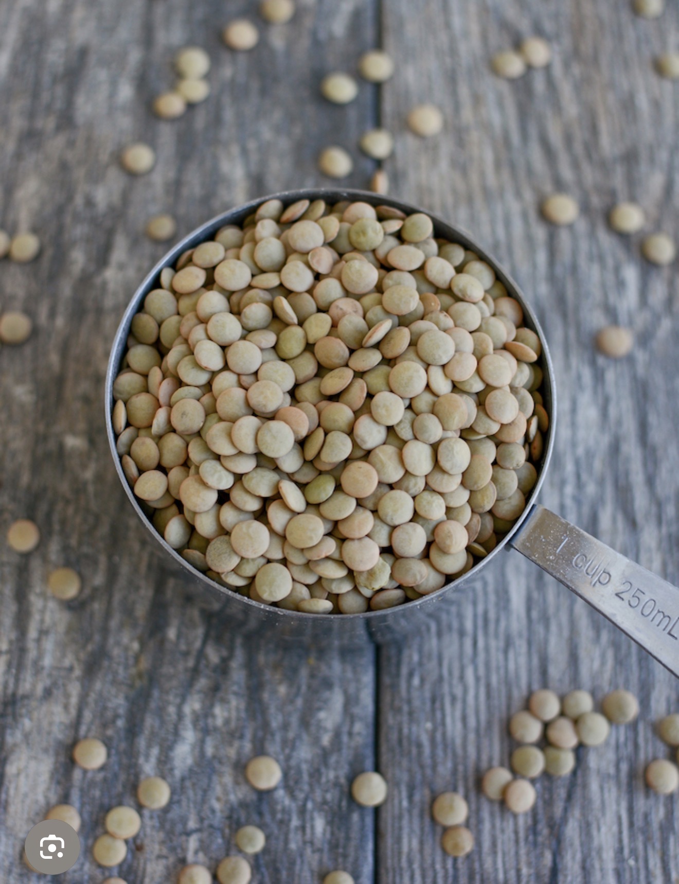 Green lentils in measuring cup