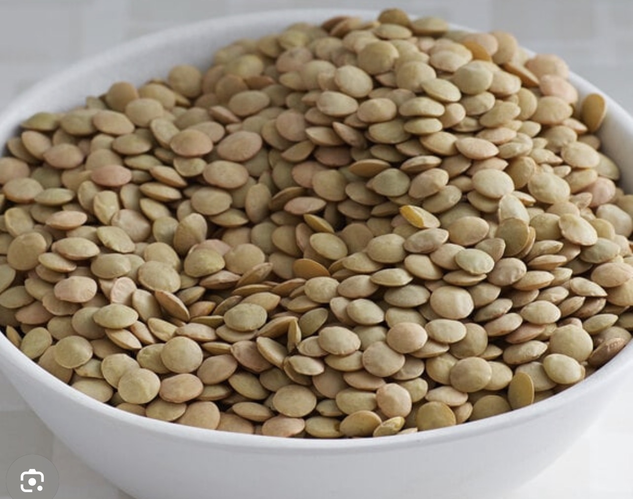 Bowl of whole green lentils