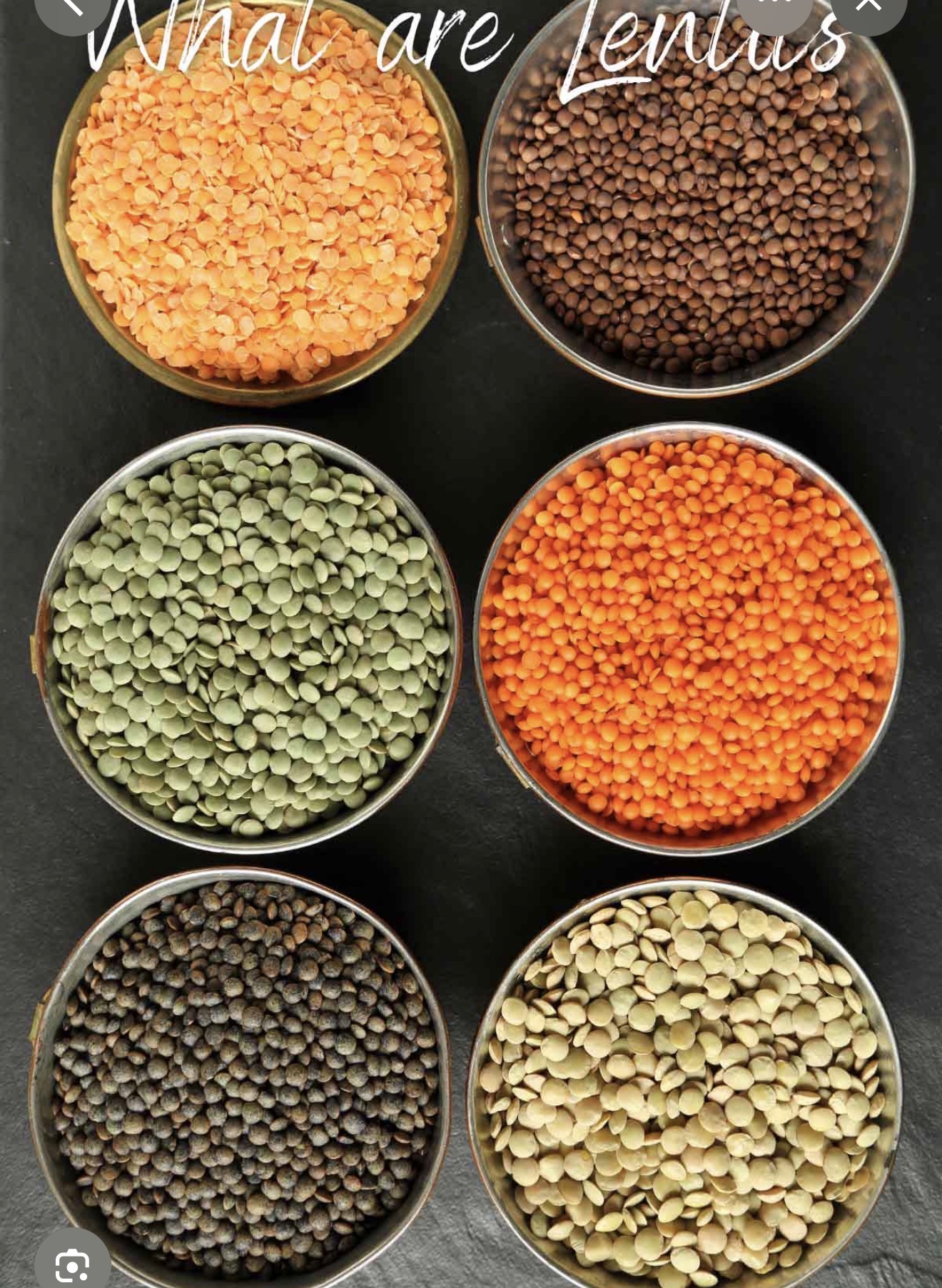Multiple lentil varieties in bowls