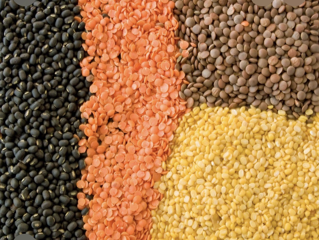 Black red brown and yellow pulses